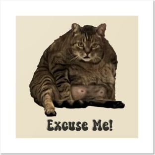 Excuse Me funny cat Posters and Art